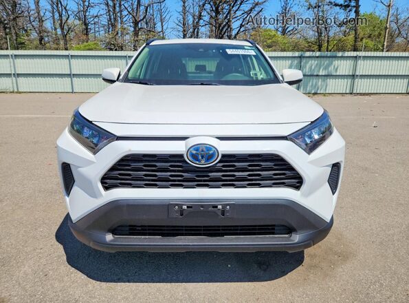 JTMMWRFV6KD016772 2019 TOYOTA RAV4 White Вид спереду