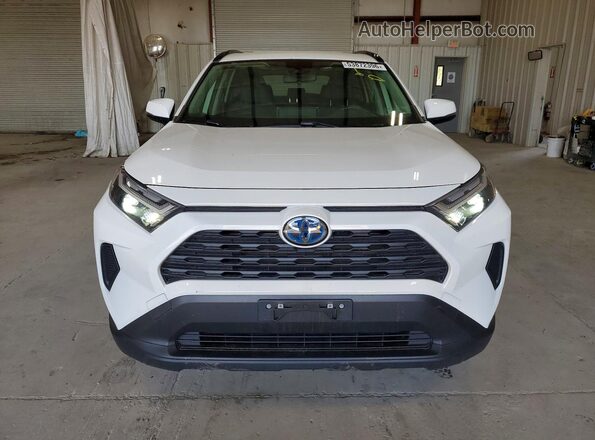 JTMMWRFV6RD266619 2024 TOYOTA RAV4 White 