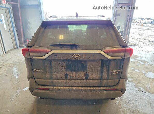 JTMN1RFV1PD097710 2023 TOYOTA RAV4 Black Հետևի տեսք