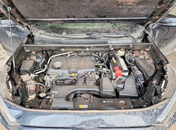 JTMN1RFV1PD097710 2023 TOYOTA RAV4 Black Շարժիչի բաժամունքի տեսք
