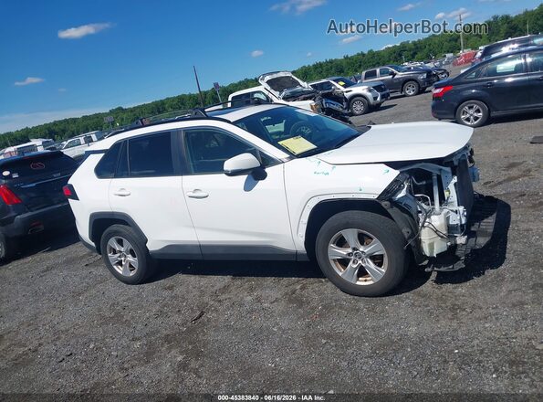 JTMP1RFV0KD516518 2019 TOYOTA RAV4 White უკანა სალონის ხედი
