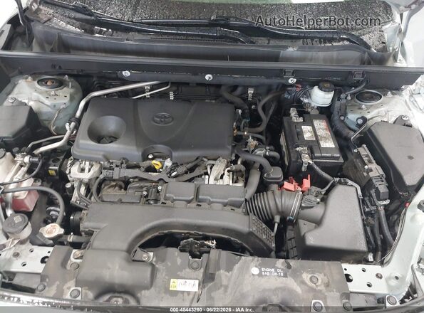 JTMP1RFV2KD027232 2019 TOYOTA RAV4 Gray Rear view