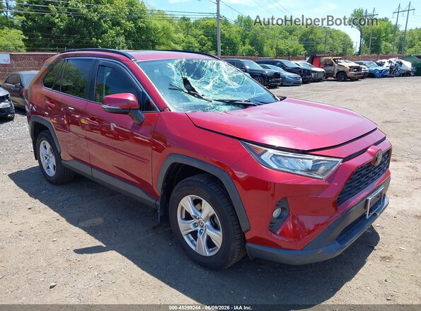 JTMP1RFV8KD014498 2019 TOYOTA RAV4 Красный 