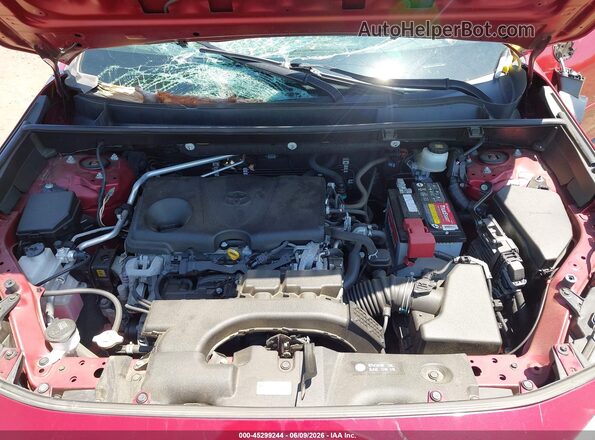 JTMP1RFV8KD014498 2019 TOYOTA RAV4 Красный Вид сзади