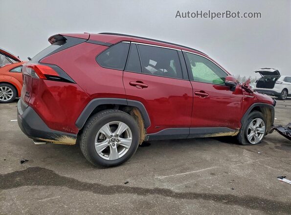 JTMR6RFV7LD004671 2020 TOYOTA RAV4 Maroon Tył prawy