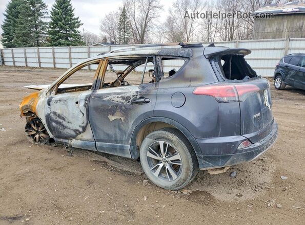 JTMRFREV1HD202414 2017 TOYOTA RAV4 Серый Задняя левая четверть