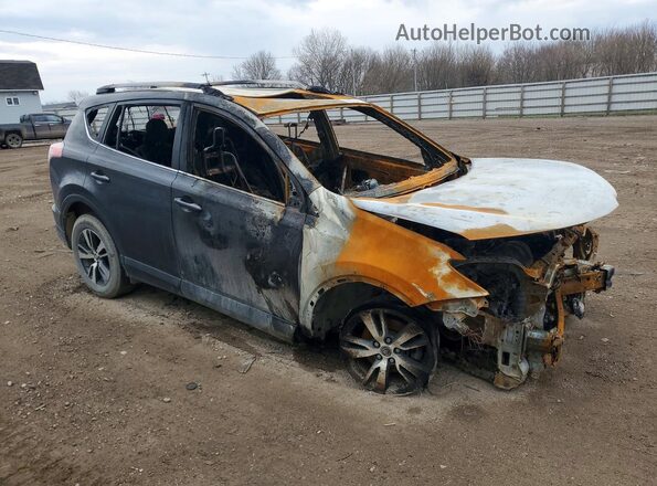JTMRFREV1HD202414 2017 TOYOTA RAV4 Серый Передняя правая четверть