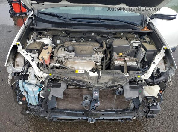 JTMRFREV2HD202065 2017 TOYOTA RAV4 White Widok wnętrza z tyłu
