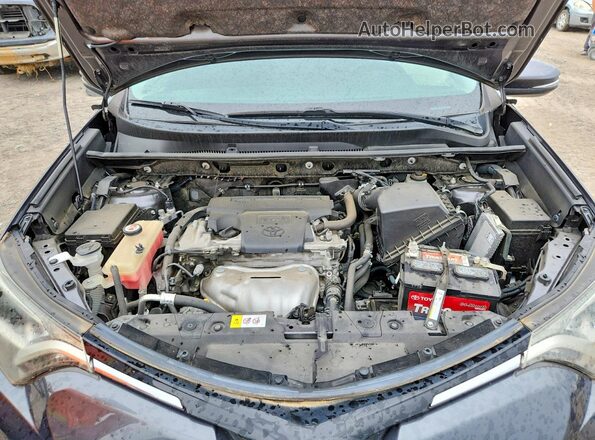JTMRFREV2HJ704477 2017 TOYOTA RAV4 Gray 