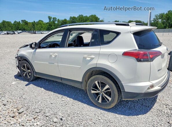JTMRFREV6HJ113617 2017 TOYOTA RAV4 White უკანა მარცხენა
