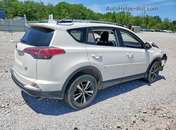 JTMRFREV6HJ113617 2017 TOYOTA RAV4 White უკანა მარჯვენა