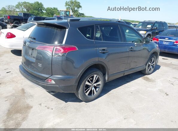 JTMRFREV8HD203429 2017 TOYOTA RAV4 Gray Trasero derecho