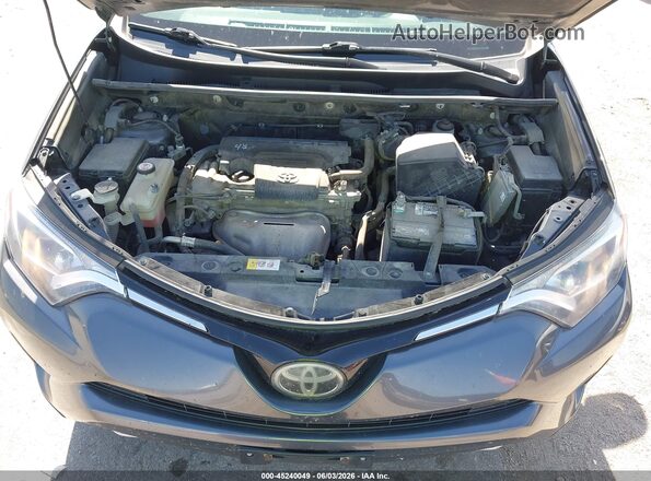 JTMRFREV8HD203429 2017 TOYOTA RAV4 Gray Vista trasera