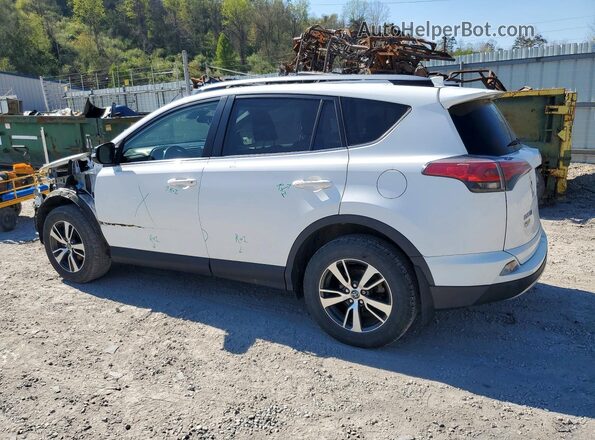JTMRFREV9HD202287 2017 TOYOTA RAV4 White უკანა მარცხენა