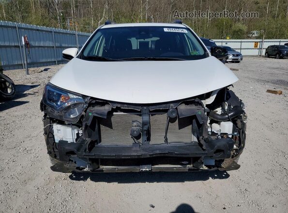 JTMRFREV9HD202287 2017 TOYOTA RAV4 White წინა ხედი