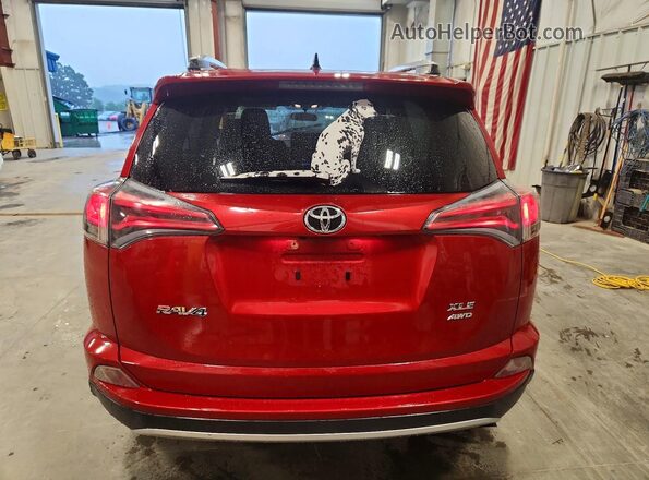 JTMRFREVXGJ080734 2016 TOYOTA RAV4 Red უკანა ხედი