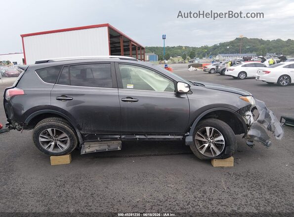 JTMRFREVXHJ702749 2017 TOYOTA RAV4 Gray Панорамний вид салону 360°