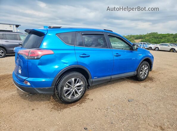 JTMRJREV0GD051904 2016 TOYOTA RAV4 Blue Tył prawy