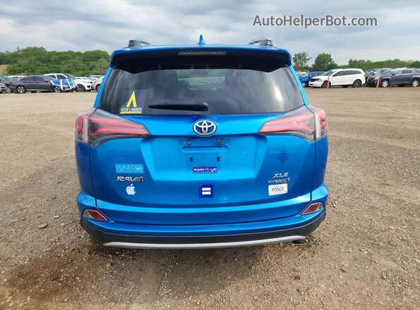 JTMRJREV0GD051904 2016 TOYOTA RAV4 Blue Widok z tyłu