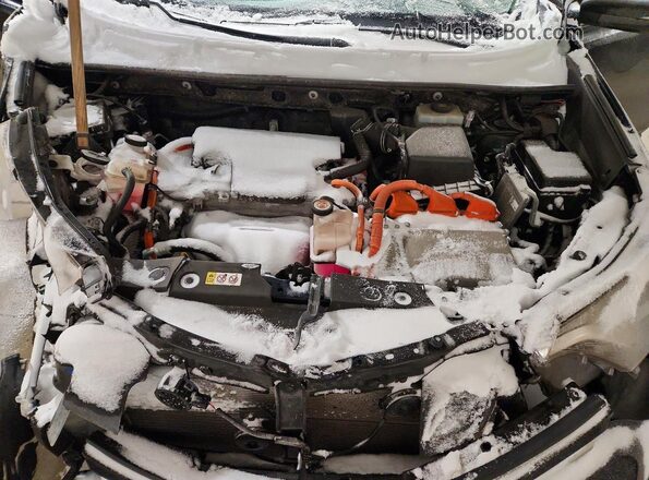 JTMRJREV0JD256288 2018 TOYOTA RAV4 Gray Շարժիչի բաժամունքի տեսք
