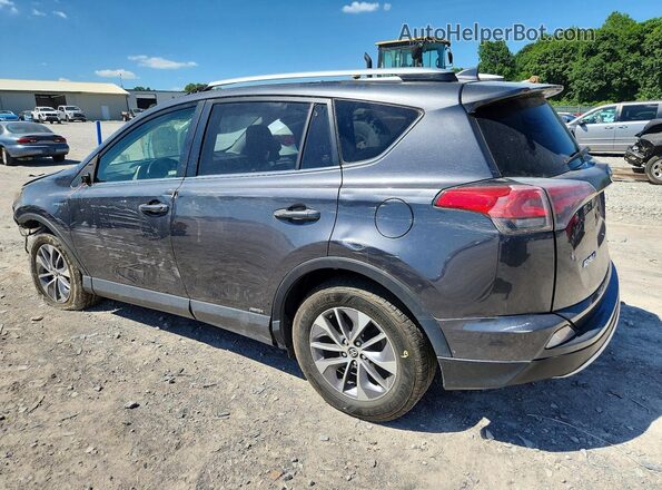 JTMRJREV3GD007833 2016 TOYOTA RAV4 Gray 
