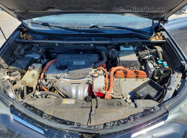 JTMRJREV3GD007833 2016 TOYOTA RAV4 Gray 