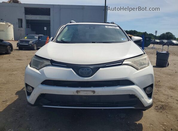 JTMRJREV3GD024745 2016 TOYOTA RAV4 White 