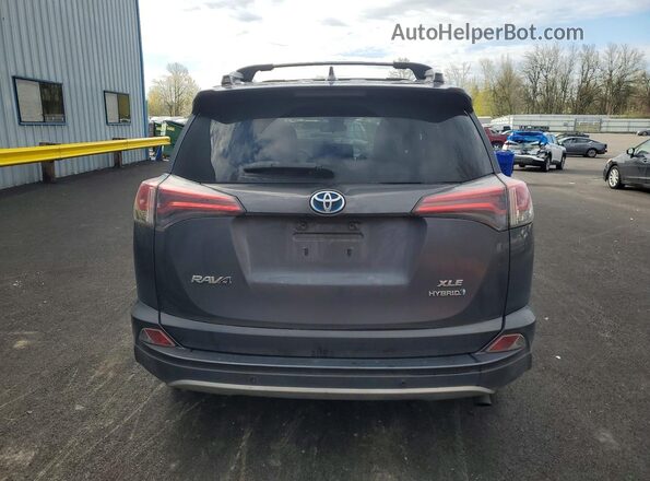 JTMRJREV5GD033169 2016 TOYOTA RAV4 Gray Հետևի տեսք