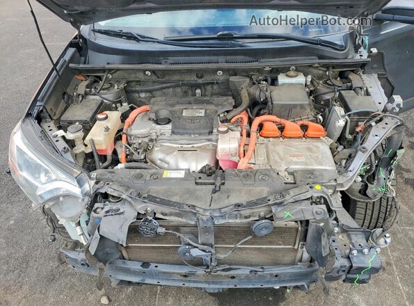 JTMRJREV5GD033169 2016 TOYOTA RAV4 Gray Սալոնի հետևի տեսք