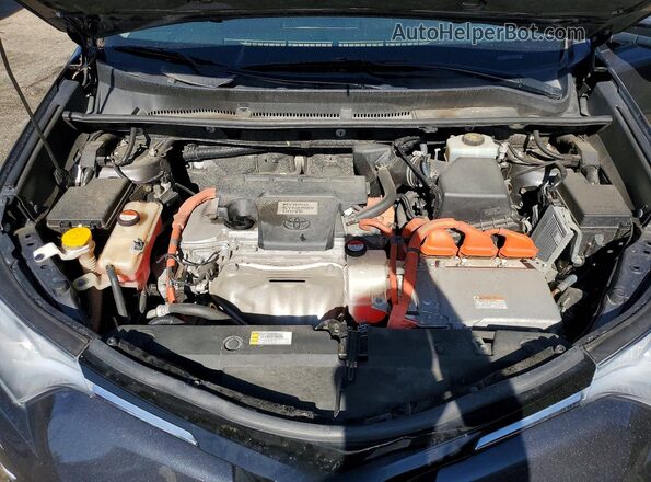 JTMRJREV6GD000228 2016 TOYOTA RAV4 Gray Vista interior trasera