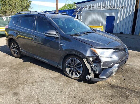 JTMRJREV6GD000228 2016 TOYOTA RAV4 Gray Delantero derecho