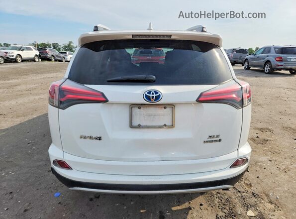 JTMRJREV6GD030250 2016 TOYOTA RAV4 White Հետևի տեսք