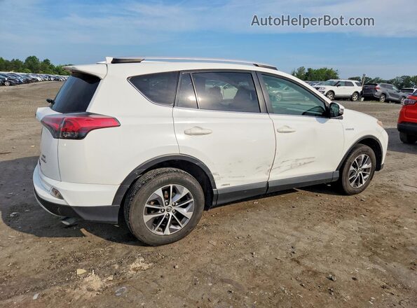 JTMRJREV6GD030250 2016 TOYOTA RAV4 White Հետևի աջ