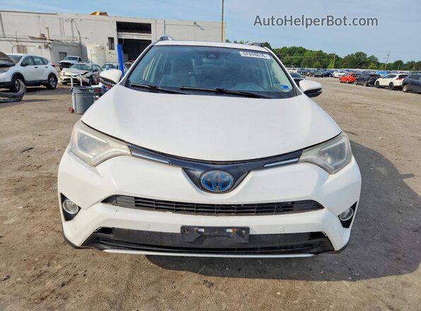 JTMRJREV6GD030250 2016 TOYOTA RAV4 White Դիմացի տեսք