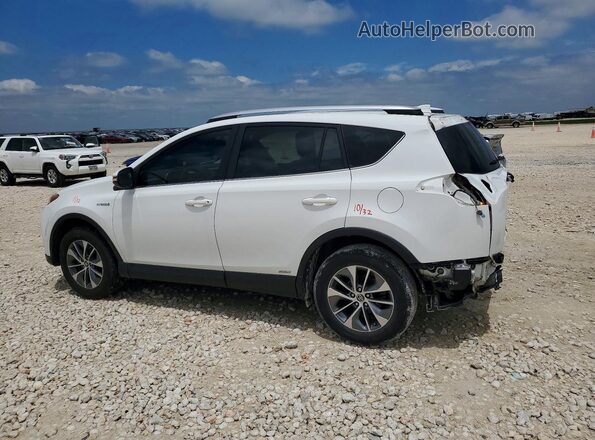 JTMRJREV6GD043256 2016 TOYOTA RAV4 White 