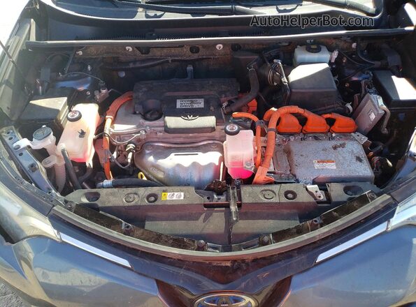 JTMRJREV6JD248583 2018 TOYOTA RAV4 Gray Սալոնի հետևի տեսք