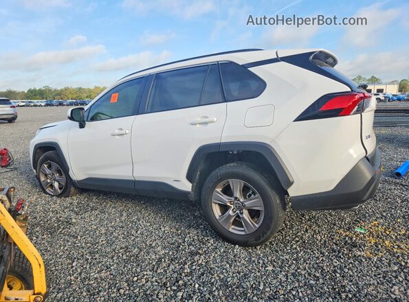 JTMRWRFV0RD274351 2024 TOYOTA RAV4 White Հետևի ձախ