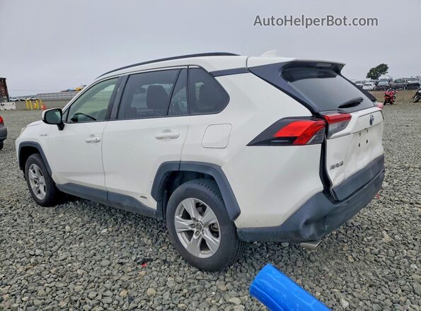 JTMRWRFV1KD012859 2019 TOYOTA RAV4 White Trasero izquierdo