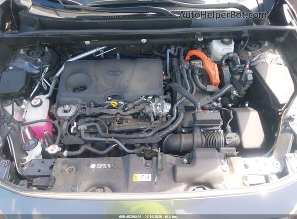 JTMRWRFV3RJ061668 2024 TOYOTA RAV4 HYBRID Gray Widok z tyłu