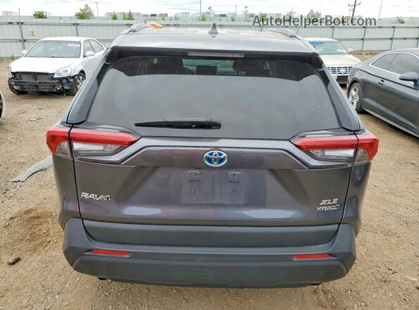 JTMRWRFV4KD014282 2019 TOYOTA RAV4 Gray Widok z tyłu