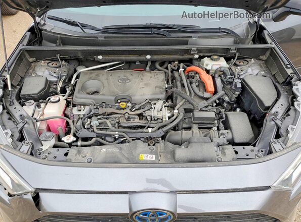 JTMRWRFV4KD014282 2019 TOYOTA RAV4 Gray Widok wnętrza z tyłu