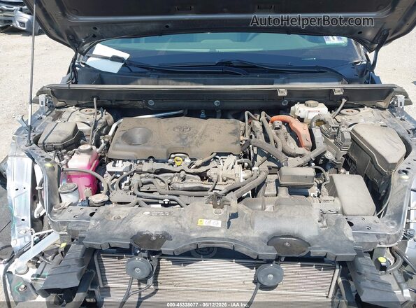 JTMRWRFV4KD030899 2019 TOYOTA RAV4 HYBRID Gray Вид ззаду