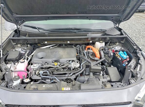 JTMRWRFV4SD298075 2025 TOYOTA RAV4 Gray Սալոնի հետևի տեսք