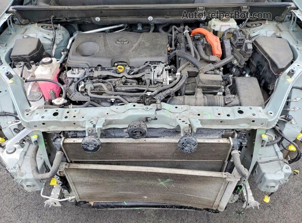 JTMRWRFV5LD068207 2020 TOYOTA RAV4 Green Rear interior view