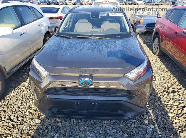 JTMRWRFV7RJ060040 2024 TOYOTA RAV4 Gray Widok z przodu