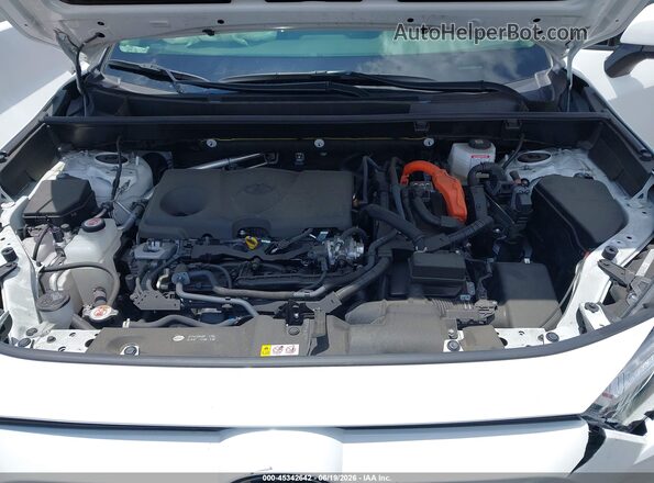 JTMRWRFV8SD296443 2025 TOYOTA RAV4 HYBRID White Widok z tyłu