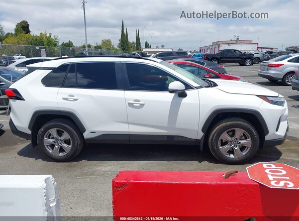 JTMRWRFV8SD296443 2025 TOYOTA RAV4 HYBRID White Widok wnętrza z tyłu