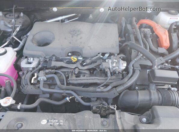 JTMRWRFV8SJ088807 2025 TOYOTA RAV4 HYBRID Gray Widok z tyłu