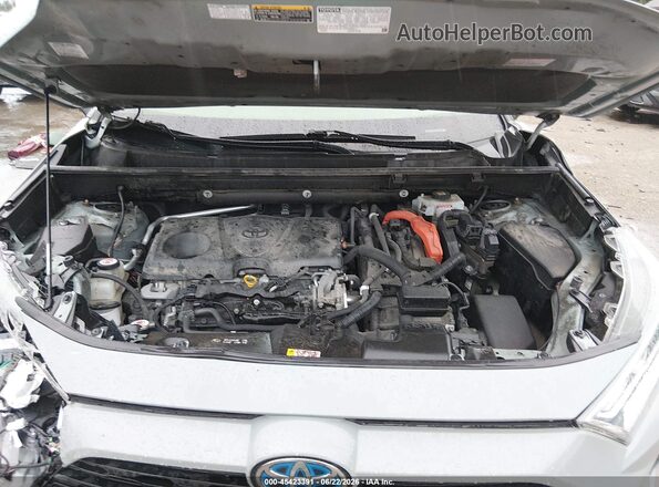 JTMRWRFV9LJ049502 2020 TOYOTA RAV4 HYBRID Turquoise Հետևի տեսք