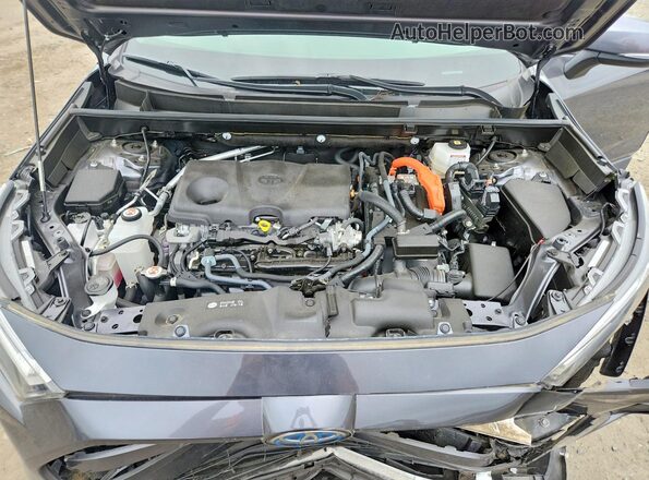 JTMRWRFV9PD183365 2026 TOYOTA RAV4 Gray 
